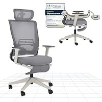 FLEXISPOT Foldex Ergonomic Office Chair with Foldable Backrest, Folding Desk Chair for Small Spaces with Lumbar Support, Flip-up Armrests, 3D Headrest and Footrest for Home Office- Grey