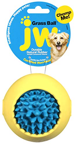 Jw Pet Company Grass Ball Dog Toy, Large (Colors Vary) #TOP3