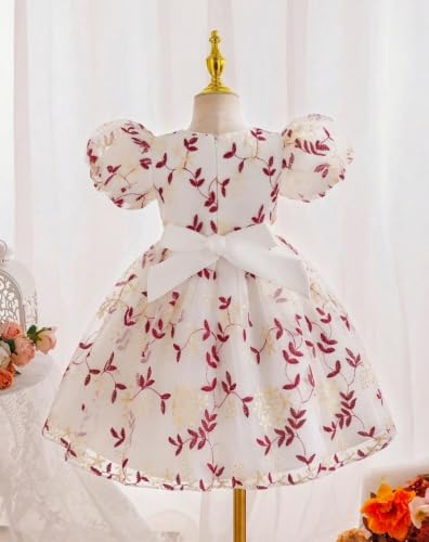Image of TAGAS Girls Floral Embroidered Party Dress | Puff Sleeve Peter Pan Collar Frock | Elegant Net Princess Dress for Baby Girls | Birthday, Wedding, Ages 2-7 Years | Blue /Red