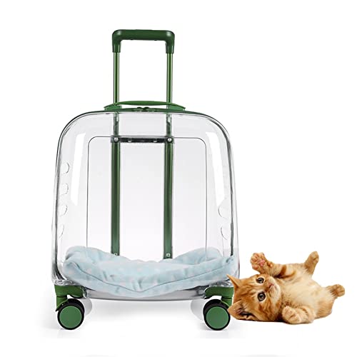 Trasportino trasparente rigido per animali domestici, zaino portatile di grande capacità per viaggi ed escursionismo, soluzione da viaggio durevole per animali domestici