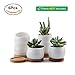 T4U 2.5 Inch Small White Succulent Planter Pots with Bamboo Tray Set of 6, Round Cactus Plant Holder Container for Home Office Table Desk Decoration Gift for Mom Aunt Sister Daughter Gardener