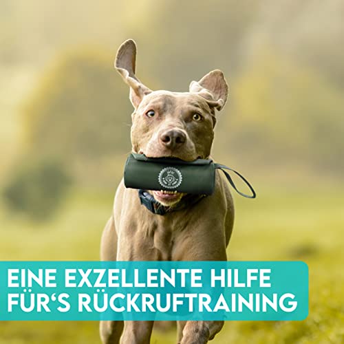 HUND IST KÖNIG Futterdummy für Hunde - Apportierbeutel für alle Hunderassen - Futterbeutel - Perfekt für Dummy Hundetraining + Trainings-eBook