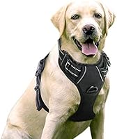 rabbitgoo Dog Harness, No-Pull Pet Harness with 2 Leash Clips, Adjustable Soft Padded Dog Vest, Reflective No-Choke Pet...
