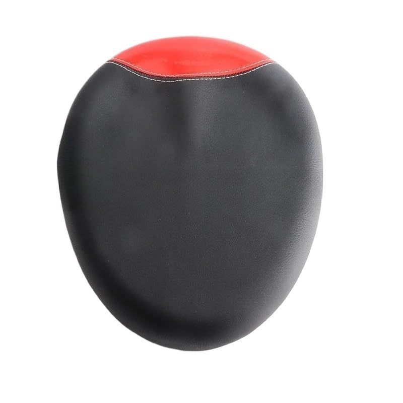 Coussin dossier passager moto pour éliminer le mal de dos en voyage routier