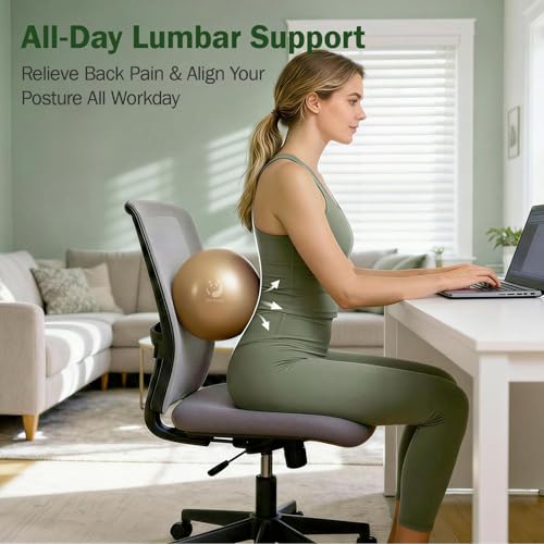 Image of Slim Panda Pilates Ball, 9 Inch Small Exercise Ball, Anti Burst Mini Yoga Ball for Stability, Workout, Barre, Core Strength, Physical Therapy, Balance, Stretching