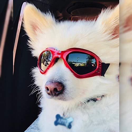 PEDOMUS Dog Goggles Small Dog Sunglasses Adjustable Strap for UV Sunglasses Waterproof Protection for Dogs (RED)