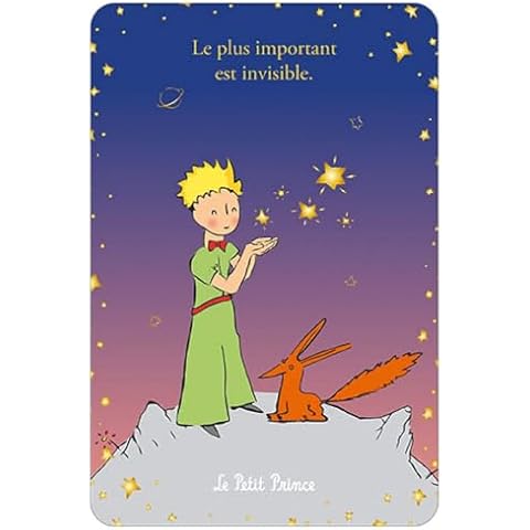 Carte Petit Prince KIUB 10x15cm Cover