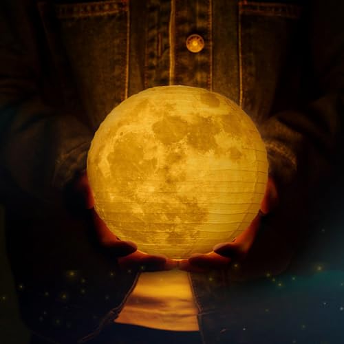 Lanito  ~   傤 25cm 9Zbg ʃfUC  ~  a ۈ牀 qCeA (LEDt)