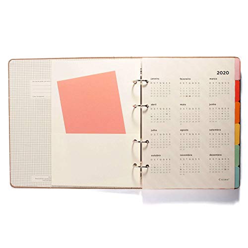 Caderno Criativo Verão, Multicolorido, Flamingo, Pautado, 120 fls, Papel Pólen 80g/m², Tamanho Grand