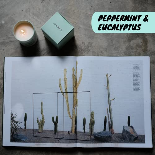 Peppermint & Eucalyptus, Premium Scented Candles, Non Toxic, 46H Burn, 8.1Oz Soy Wax, Aromatherapy, Strong And Long Lasting Jar Candle For Home, Gifts For Women And Men, Spring Candle, Velas Aromatica #TOP5