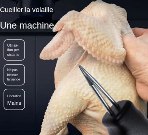 Plumeuse à volaille électrique à main pour le plumage de précision