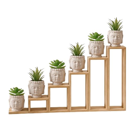 S & A Artificial Succulent Plants with Buddha Face | Pots Pack of 6 | Made with quality materials to maintain their fresh green appearance for a long time.-image-4