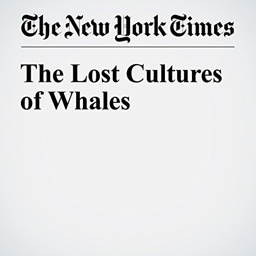 The Lost Cultures of Whales cover art