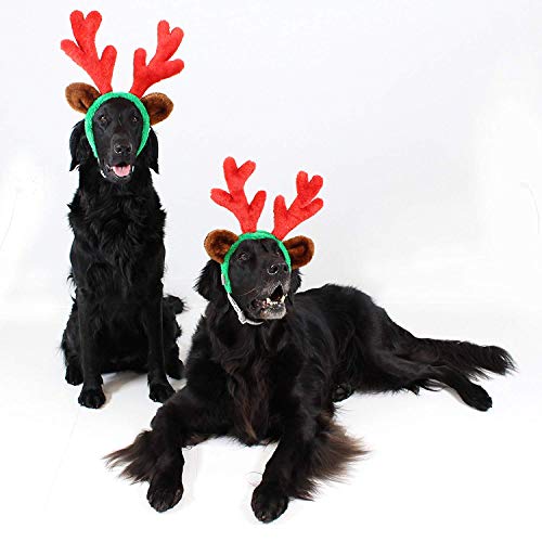 Christmas Reindeer Antlers