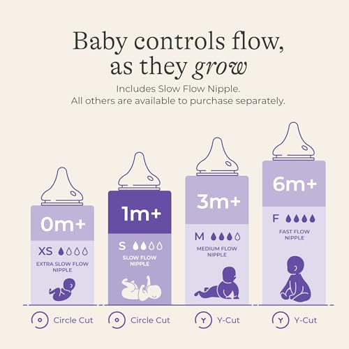 Image of Lansinoh Anti-Colic Glass Baby Bottles, Purple Collar, 5 Ounces, 4 Count