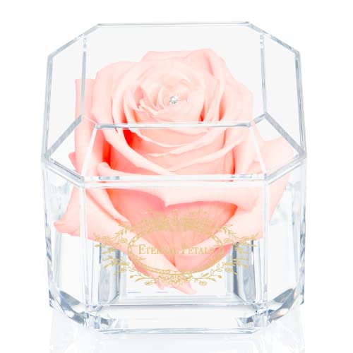 A 100% Real Rose That Lasts Years - Eternal Petals, Handmade in UK - Gold Solo with A Clear Crystal (Blush)