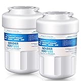 GOLDEN ICEPURE MWF Refrigerator Water Filter Replacement for GE SmartWater MWFA, 2PACK, GWF, GWFA, RWF0600A, FMG-1, WFC1201, GSE25GSHECSS, PC75009, 197D6321P006, Kenmore 9991, PC83879, GSL25JFTABS