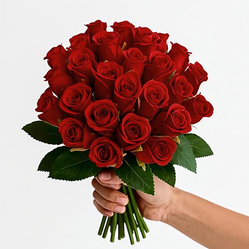 Image of Set of 24 Artificial Rose Flowers Bunches for Vase - Home Decoration Gift Items for Living Room Corner Table Top Bedroom Wedding (Pot Not Included) - 24 CM (Red)