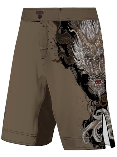 Raven Fightwear Men's Year of The Dragon MMA Shorts BJJ