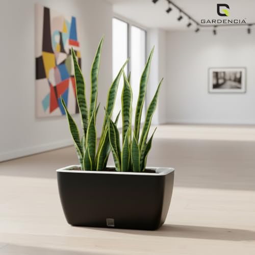 Image of GARDENCIA Self Watering Flower Pots for Outdoor Indoor Gardening /Rectangle Big Plant Pot with Polypropylene UV Material /Decorative Modern Gamla (Recta Big Black, Pack of 4)