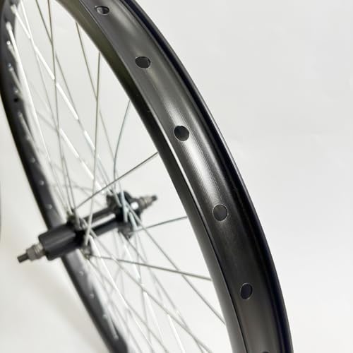 26" Rear Bicycle Wheel Only fit Cassette Freewheel, 26 inch Rear Bike Rim Double Wall Aluminum Wheel Heavy Duty 12G 36 Spokes for MTB/Road/Cruiser Bicycles (Bike Rim Size 22.44&ldquo;)
