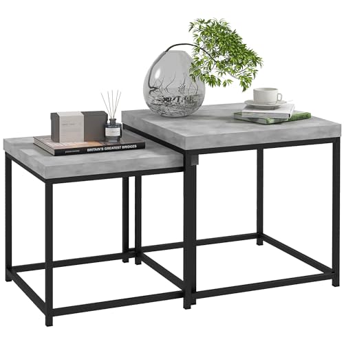 HOMCOM Lot de 2 Tables gigognes Tables Basses carrées Tables de Salon Cadre en Acier et Plateaux en...