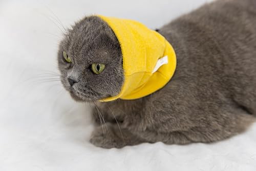 Image of Cat Snood Ear Wrap Protectors Anxiety Relief Ear Cover Hematoma Compression Yellow+Aqua Blue S