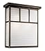 Trans Globe Lighting 2 Light Wall Lantern 40142 ROB