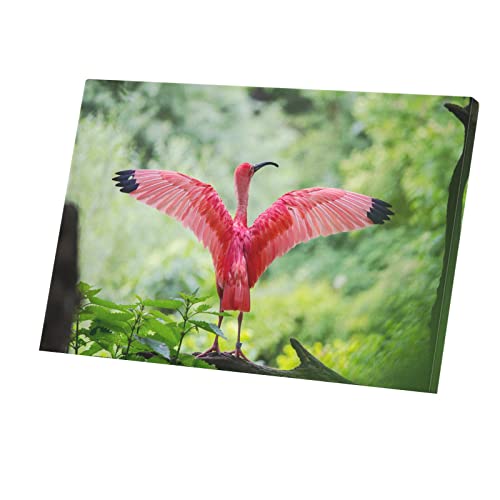 Toile ibis rose yoga matinal évasion bien-être poster poétique forêt sauvage 60x40cm