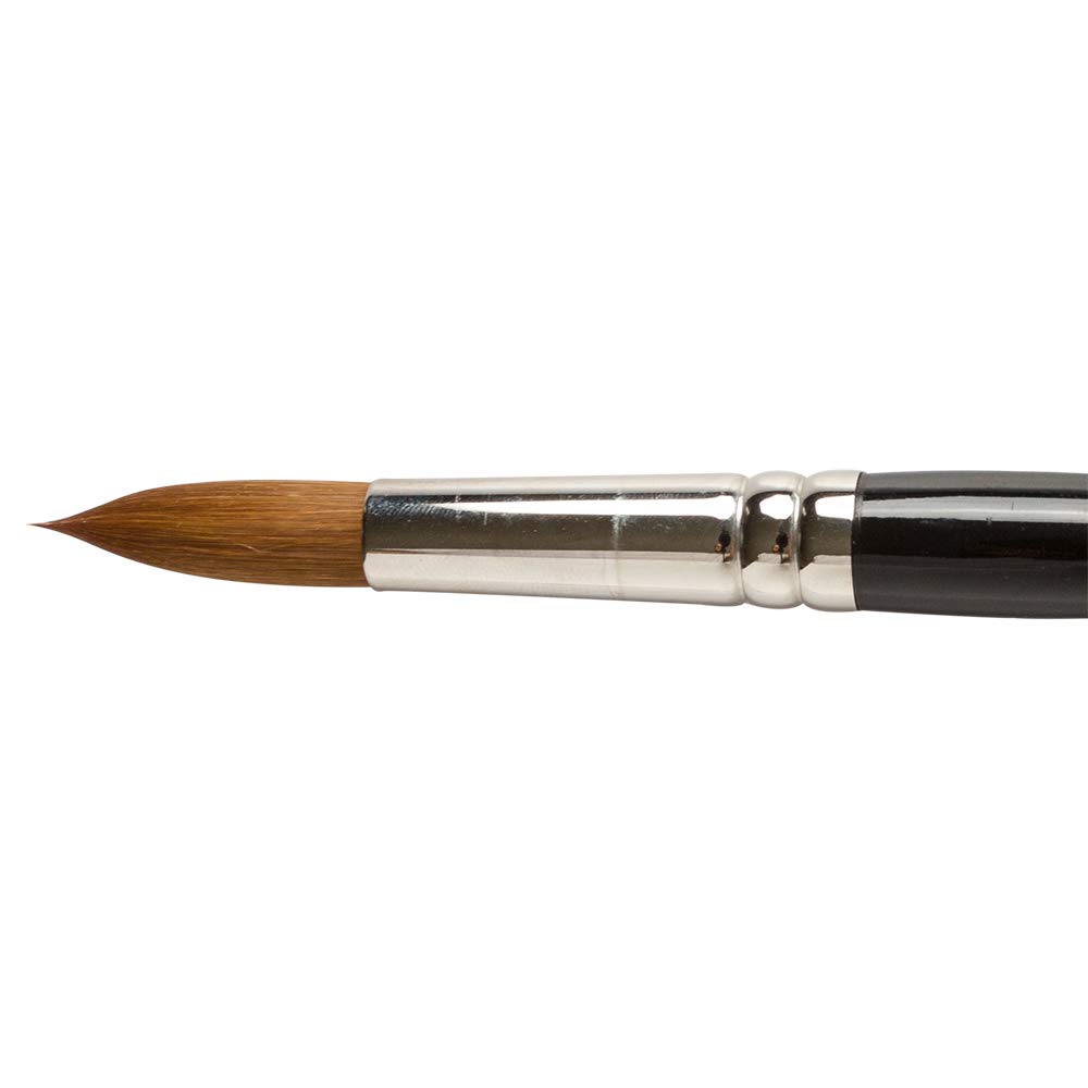 Pro Arte : Prolene Round Synthetic Watercolour Brush Series 101 Size 16
