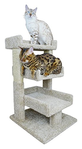 New Cat Condos Beige Grande Árbol para Gatos miniatura 1