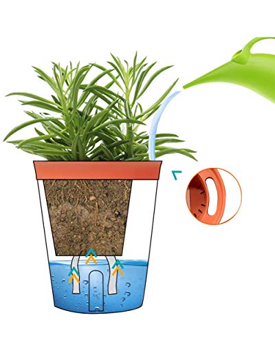 Gardenbasix Self Watering Planter Rectangle Window Box Set Of 6 For Indoor Plants Home Garden Modern Decorative Flower Pot For All House Herbs Succulents (6, Clay) #TOP6