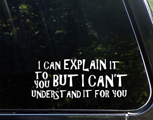 I Can Explain It to You But I Can't Understand