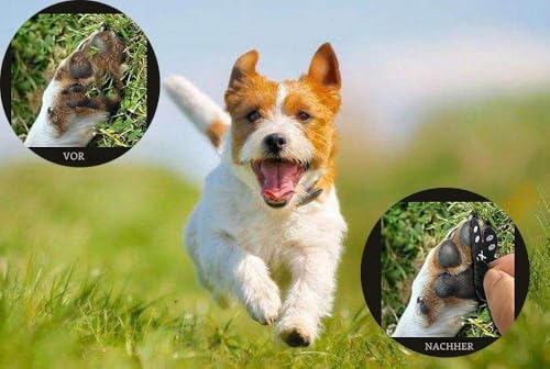 VALFRID Anti-Rutsch Pfotenschutz für Hunde 40 Stücke,Selbstklebende Silikon-Gel Beständig rutschfest Traktion Hund Schuhe Hundeschuhe Hundesocken Ersetzen XXL