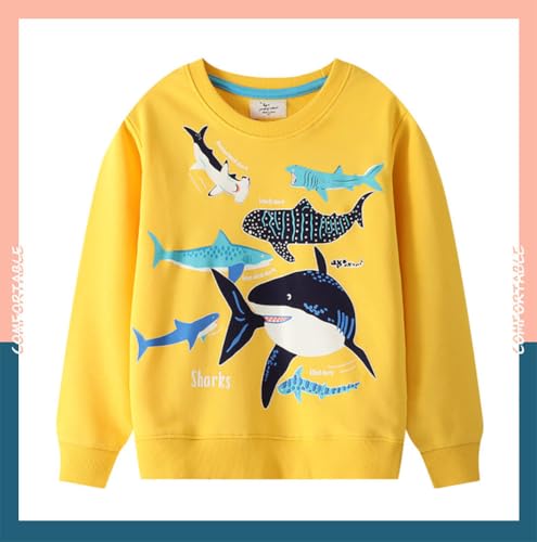 Boys Sweatshirts Casual Sweatshirts Cotton Sweatshirts Long Sleeve T-shirts Crew Neck Cartoon Tops for Boys-4494