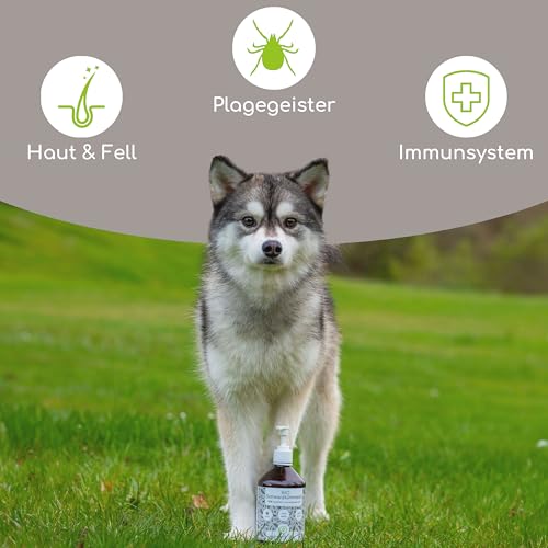 Bio Schwarzkümmelöl für Hunde 500ml, kaltgepresst aus kontrolliert biologischem Anbau DE-ÖKO-060, mit praktischem Dosierer