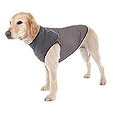 インセクトシールド DoggLes虫よけTシャツ M グレー HIK57272