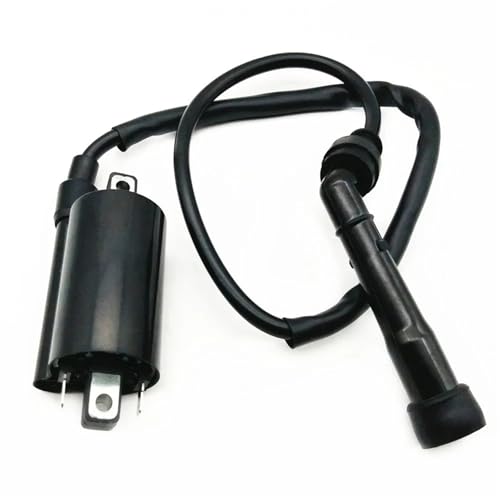 Bobine d'allumage pour régler les problèmes de démarrage sur Suzuki GN250 GN300