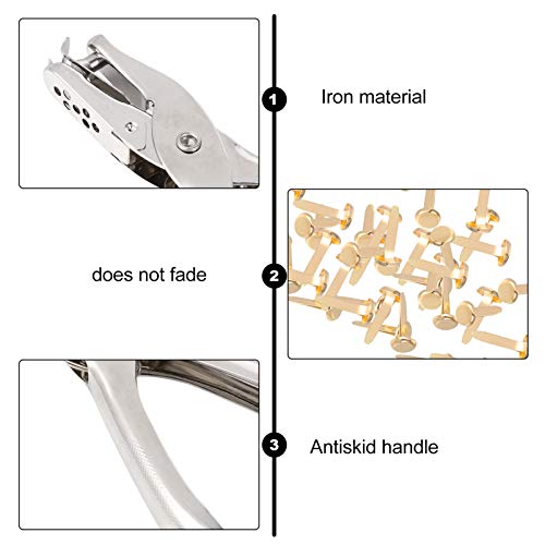 EXCEART Prendedores de Papel Brads 200Pcs Brads Com Furador de Papel para Arte E Artesanato Projetos