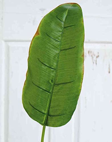artplants.de Hoja de plátano Artificial Yumi, Verde, 95cm - Hoja de plátano de plástico