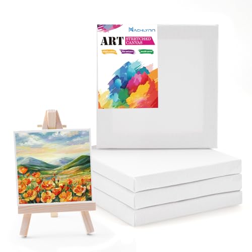 NACHLYNN Juego de 6 lienzos para pintar, 10 x 10 cm, de algodón, lienzo blanco para pintar, lienzo blanco, para pintura al óleo y paneles de lienzo