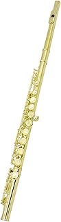 Golden 16 Holes C Tone Flute With E Key Woodwind Instrument Closed Hole Gold-plated Keys Cupronickel Tube With Case flute instrument