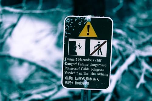 yJi_̕i|XgJ[hz댯IRgC̊RxW \ ot̓~iF ͂ photo by MIRO