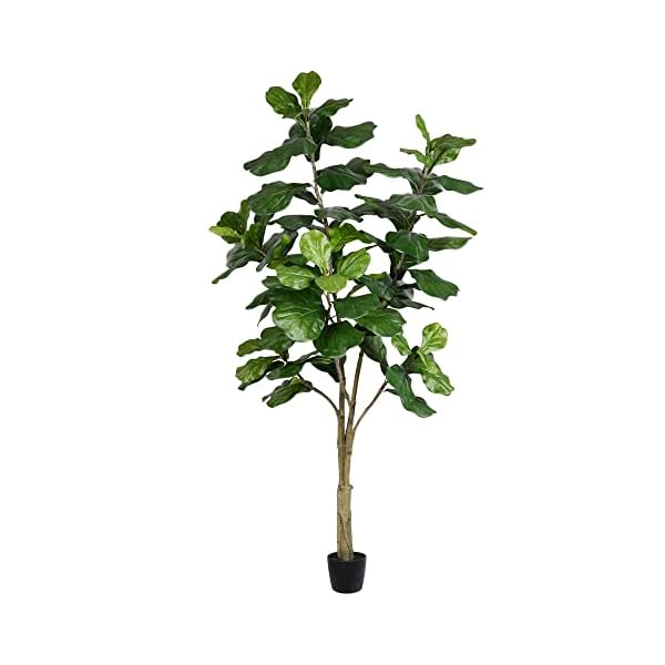 Vickerman 7ft everyday artificial potted fiddle tree 89 large fiddle leaves tall green silk artificial indoor fiddle plant single stem home office decor faux tree  urban country home decor
