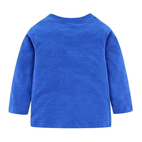 Image of Mud Kingdom Little Girls Birthday Shirt Long Sleeve Cute Cartoon