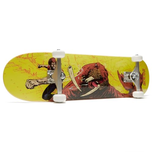 Image of [CCS] Skateboard Complete | Maple Wood | Professional Grade | Fully Assembled with Skate Tool & Stickers | Adults, Kids, Teens, Youth | Boys & Girls