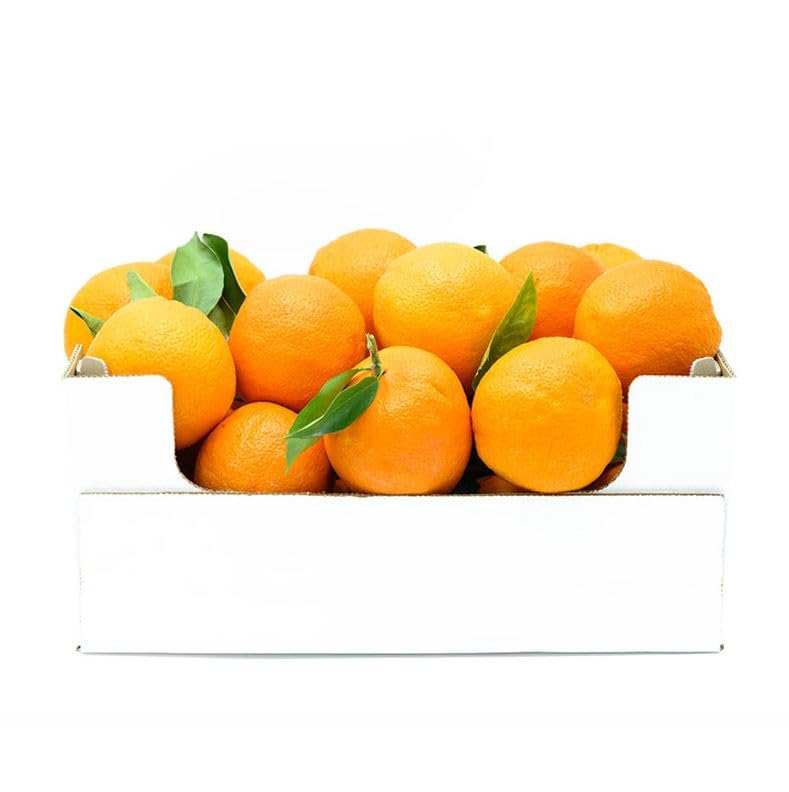 Estock1food Arance Siciliane fresche non Trattate100% Biologici 10KG CALIBRO MISTO Prodotti in Sicilia buccia edibile prodotto top