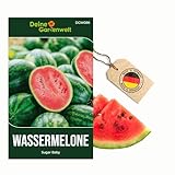 Wassermelonen Sugar Baby Samen - Citrullus lanatus - Wassermelonensamen - Obstsamen - Saatgut für 10 Pflanzen