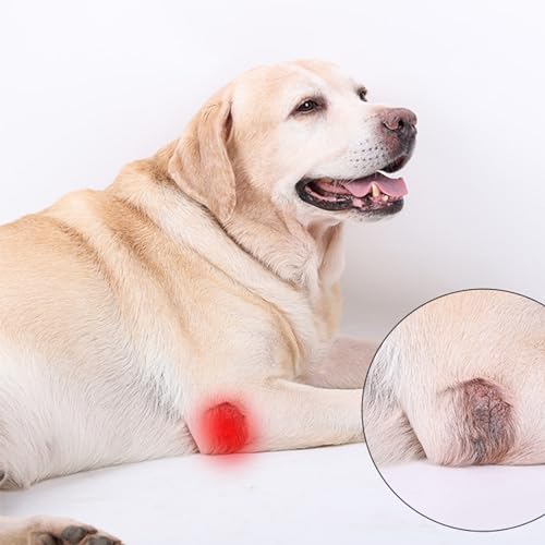 Image of (S /M) Dog Leg Brace for Back Leg, Canine Hock Brace for Legs, Joint Warps Strong Support Help for Hind Leg Injuries Sprains Arthritis