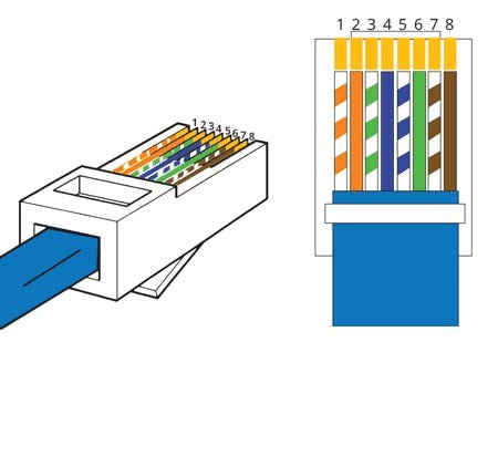 Cable de red Cat6 UTP RJ-45 macho 3 pies miniatura 6